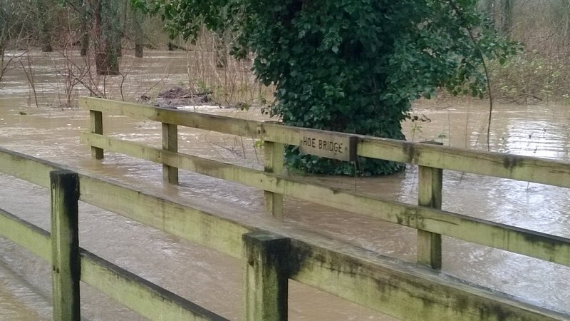 Building houses in floodplains is nonsensical